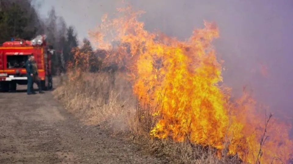 Фото: t.me/mosoblcomles