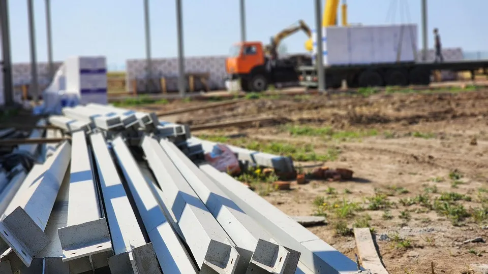 Фото: Светлана Плотникова