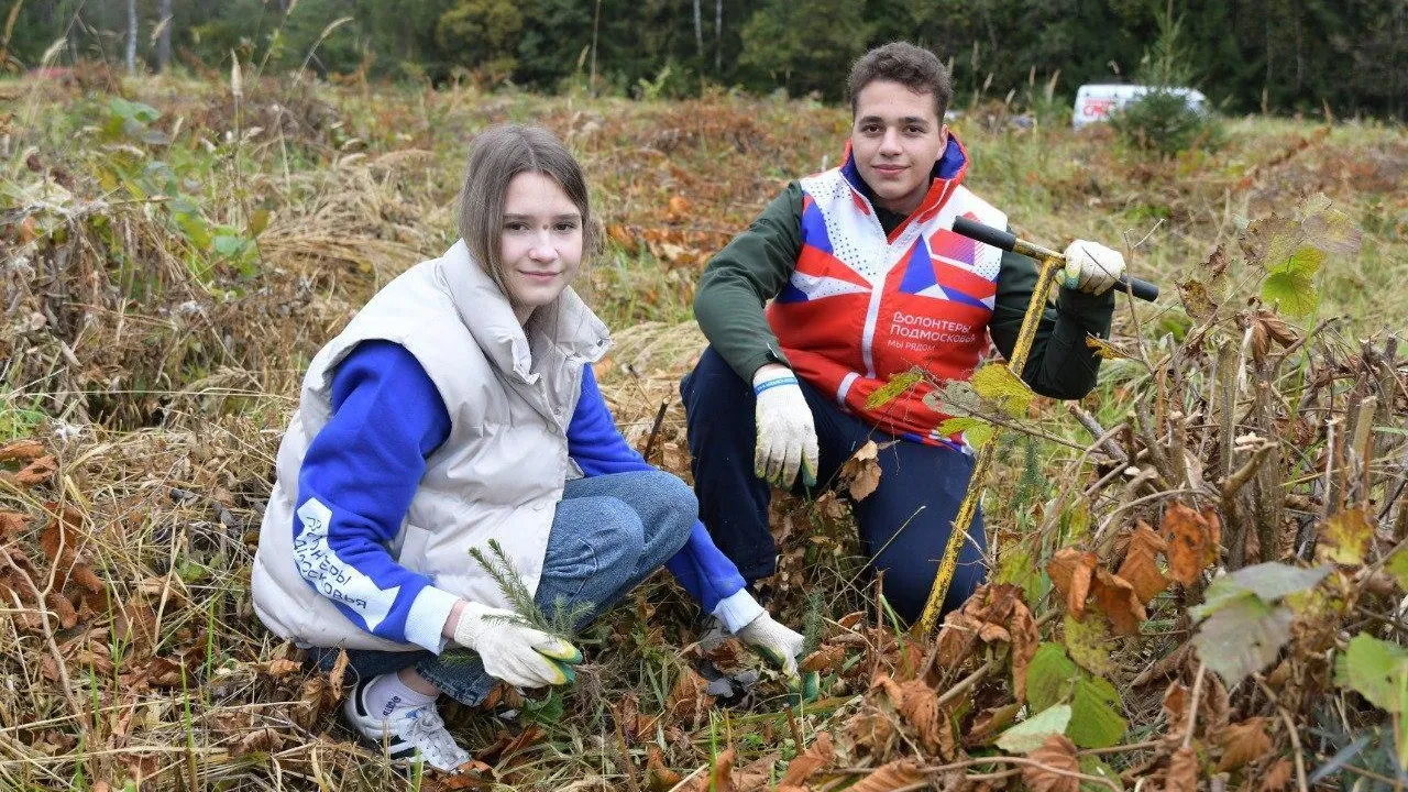 МБУ «КМЦ „Сфера“