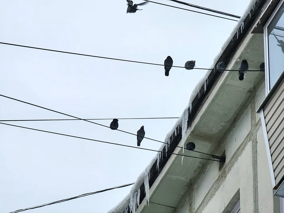 Фото: REGIONS/Мария Панина