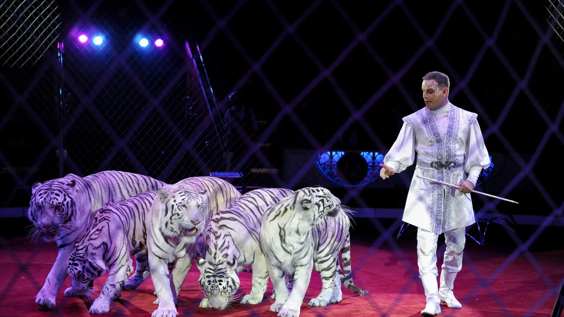 медиасток.рф