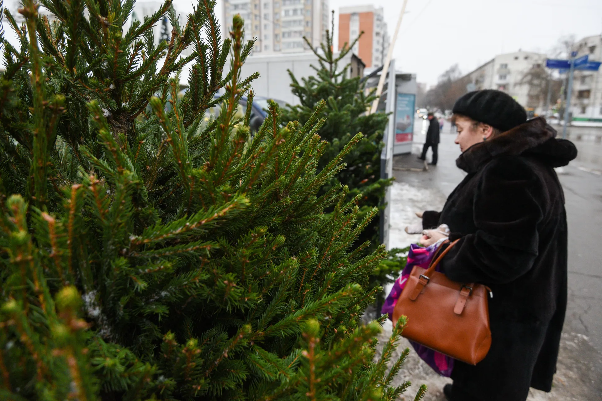 Елочные базары в Москве