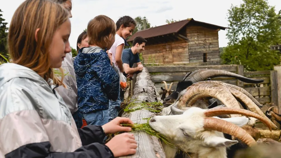 Фото: медиасток.рф