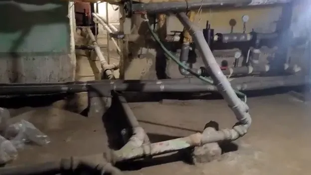 Фото: скриншот видео