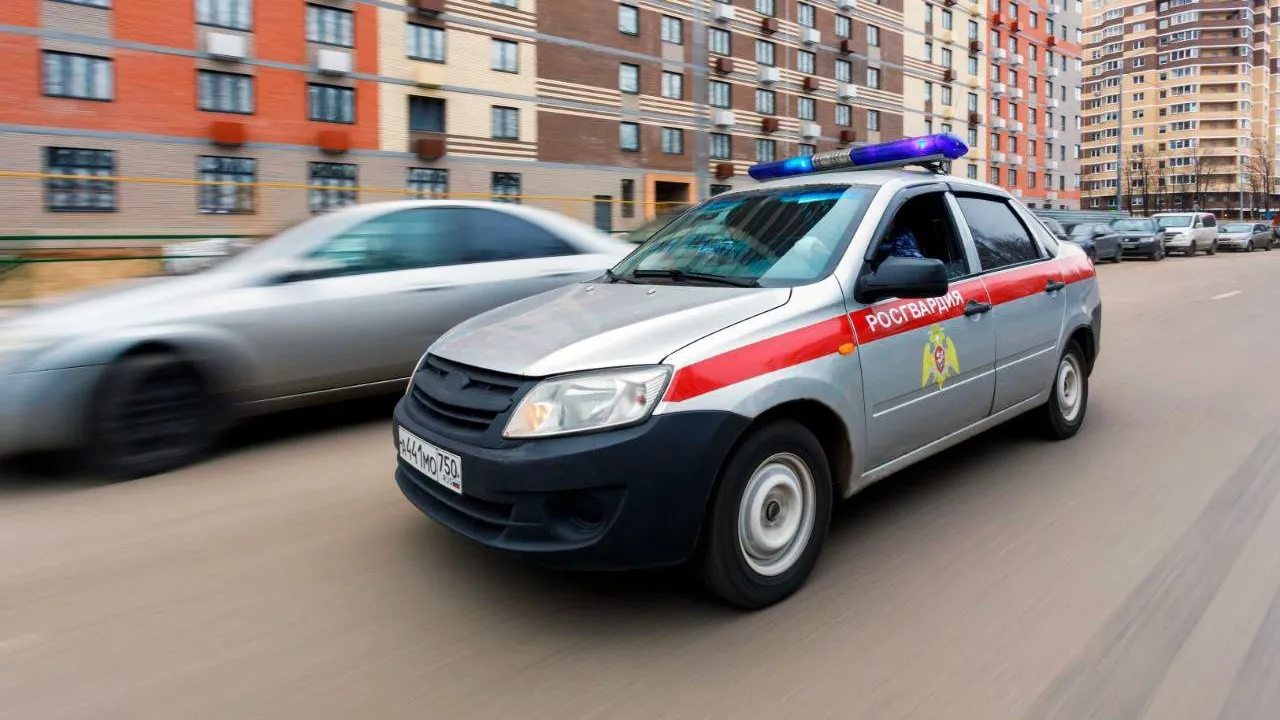 Фото: ГУ Росгвардии по Московской области