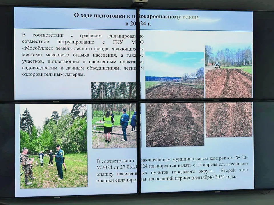 Фото: пресс-служба Администрации г.о. Лосино-Петровский