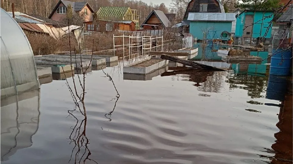 Фото: пресс-центр администрации Богородского г.о.