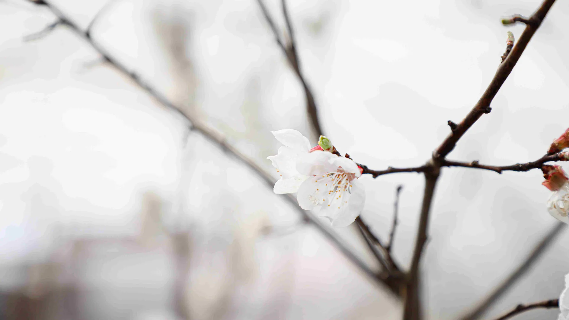 Фото: Наталия Надточая