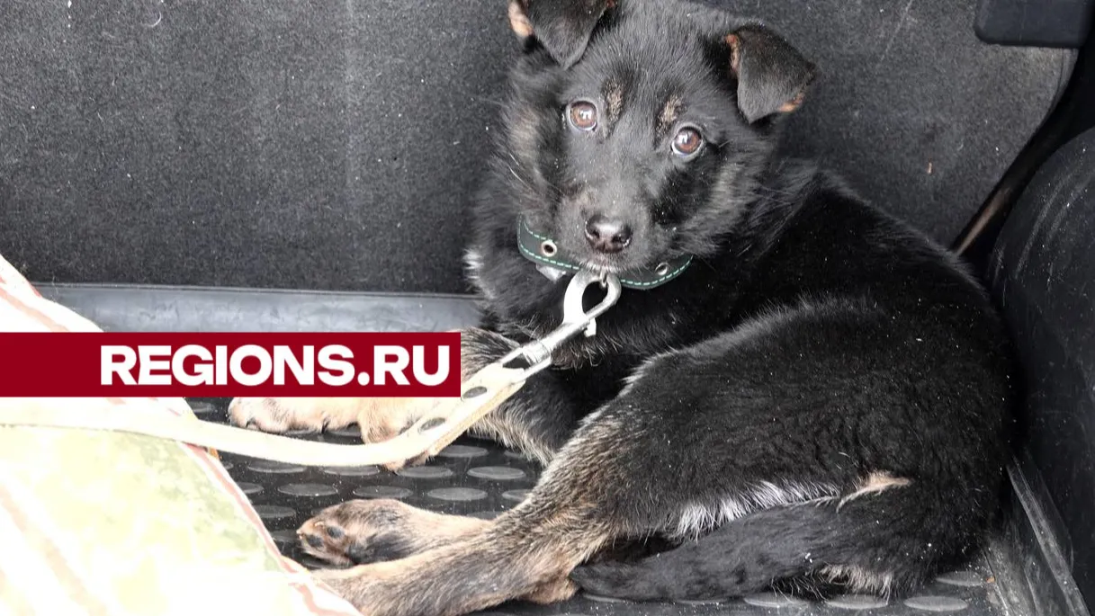 Фото: Дарья Леонова