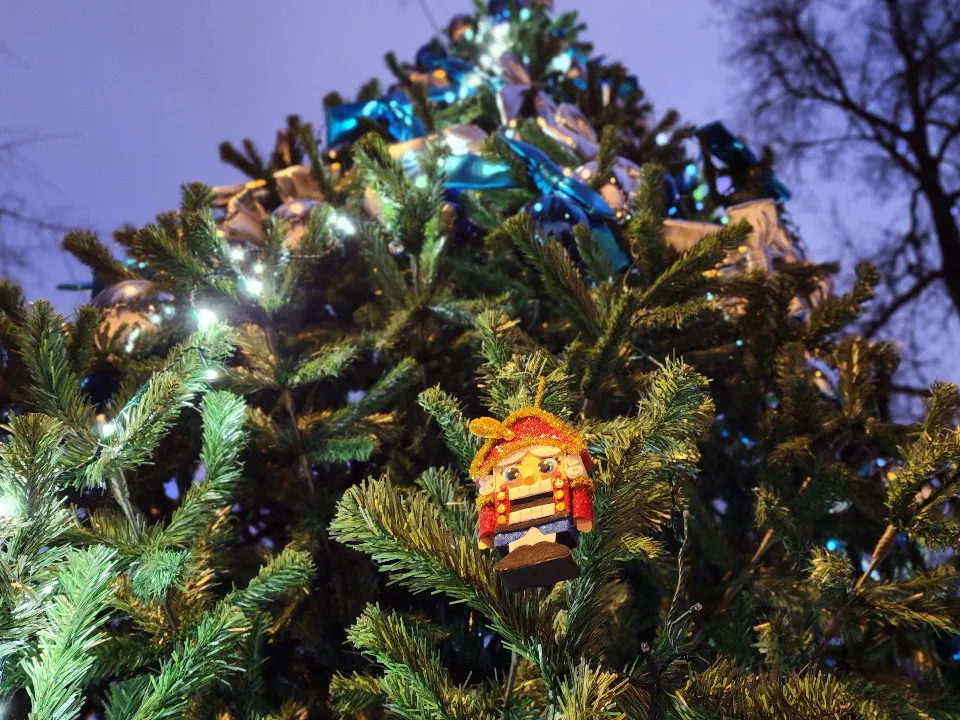 Фото: МедиаБанк Подмосковья/Валерия Тингаева