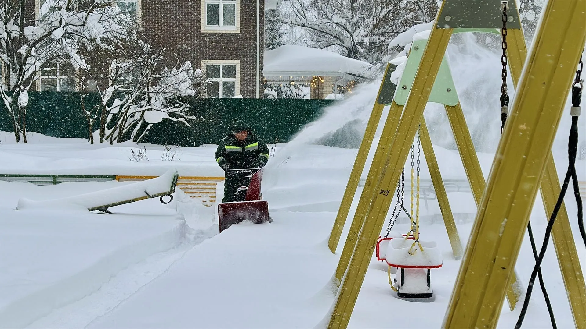 Кристина Тришина