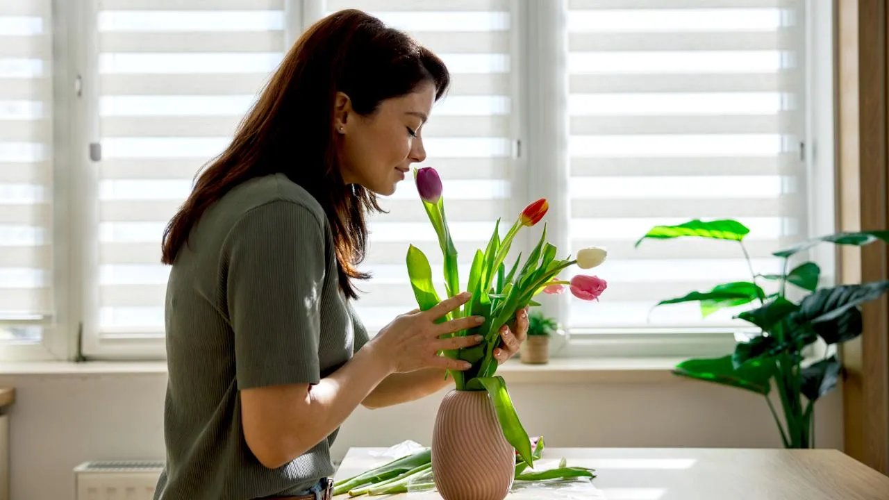 istockphoto.com/Dimensions