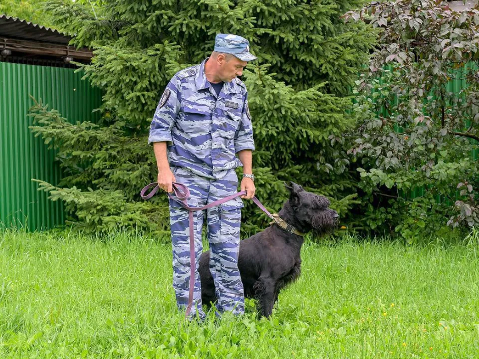 Фото: пресс-служба администрации г. о. Подольск