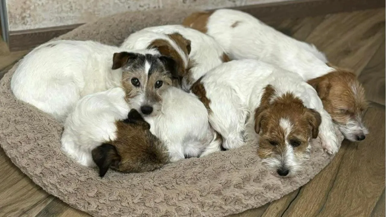 личный архив Юлии Беловой