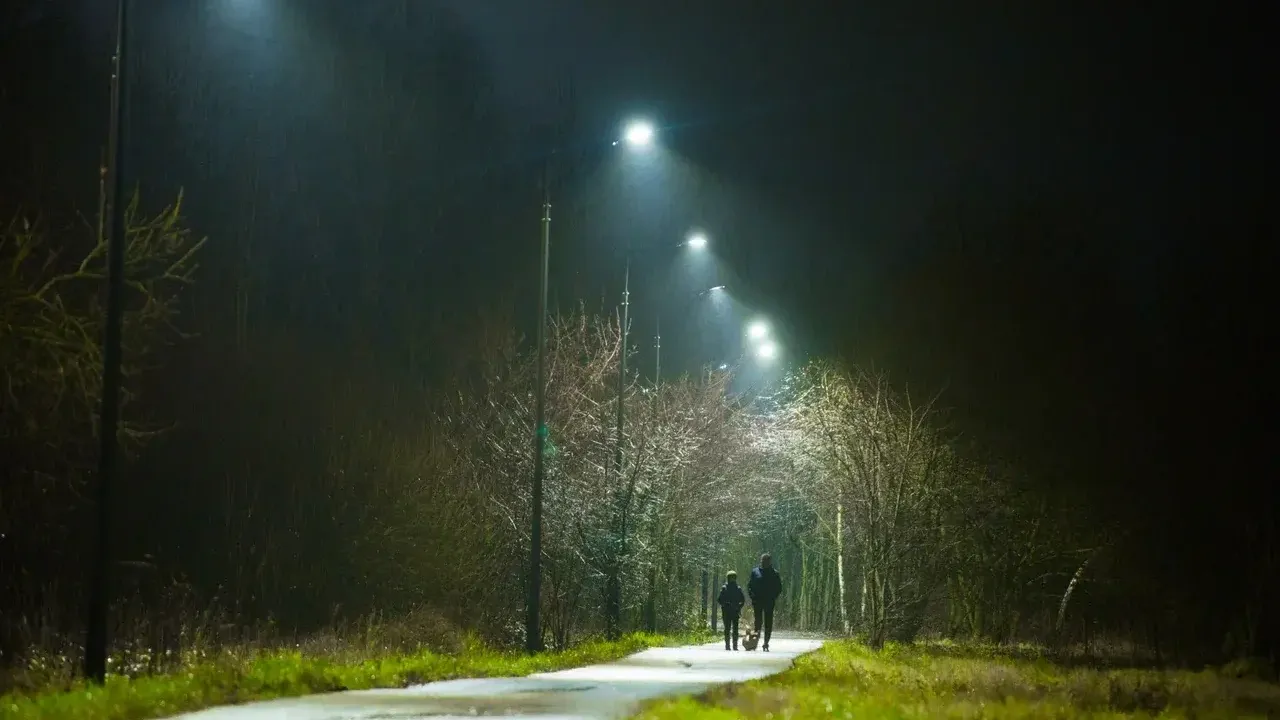 Фото: Министерство благоустройства Московской области