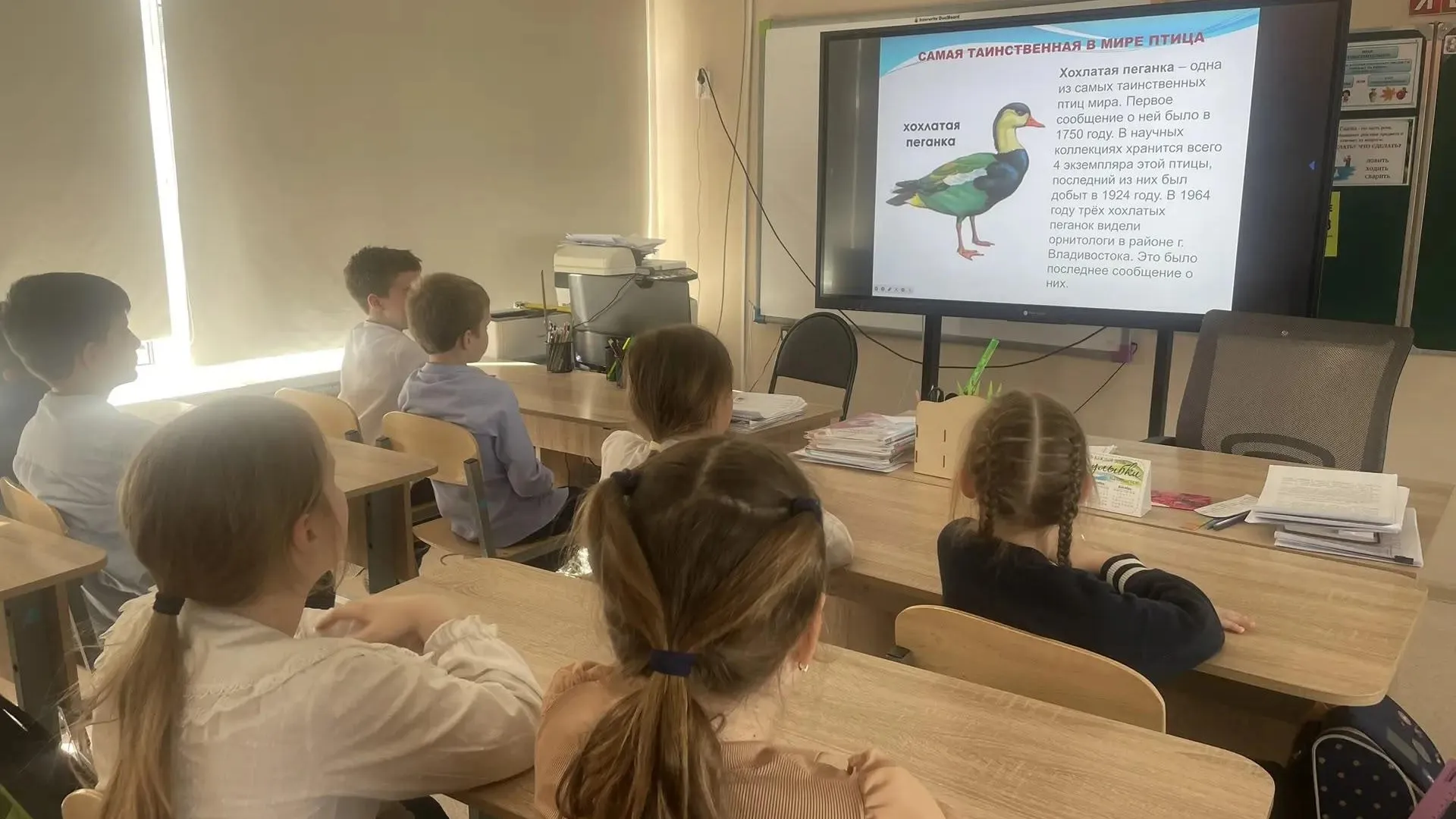 МБОУ «Шаховская гимназия»