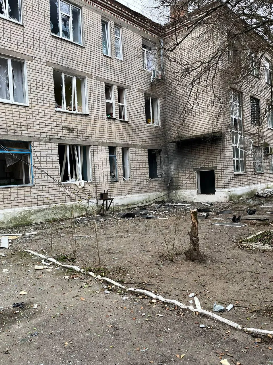 Владимир Сальдо
