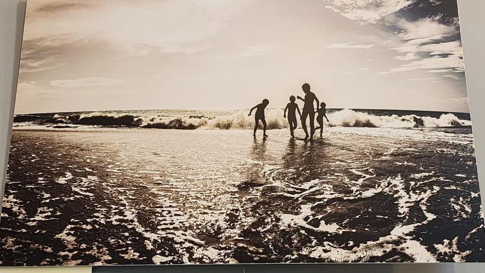 Фото: МедиаБанк Подмосковья/Андрей Алекин