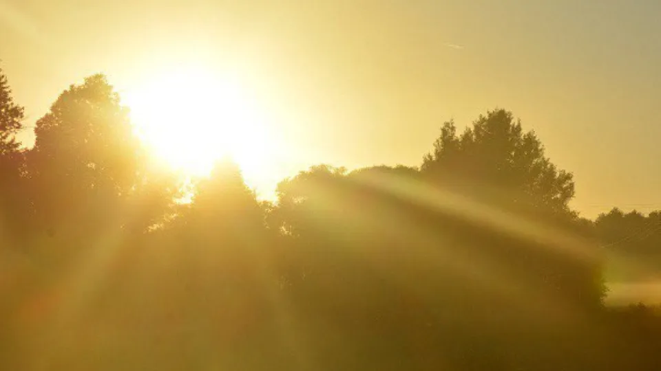 Фото: REGIONS/Анастасия Завертайло