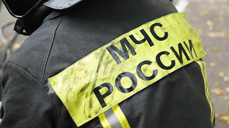 Фото: REGIONS/Анна Быкова