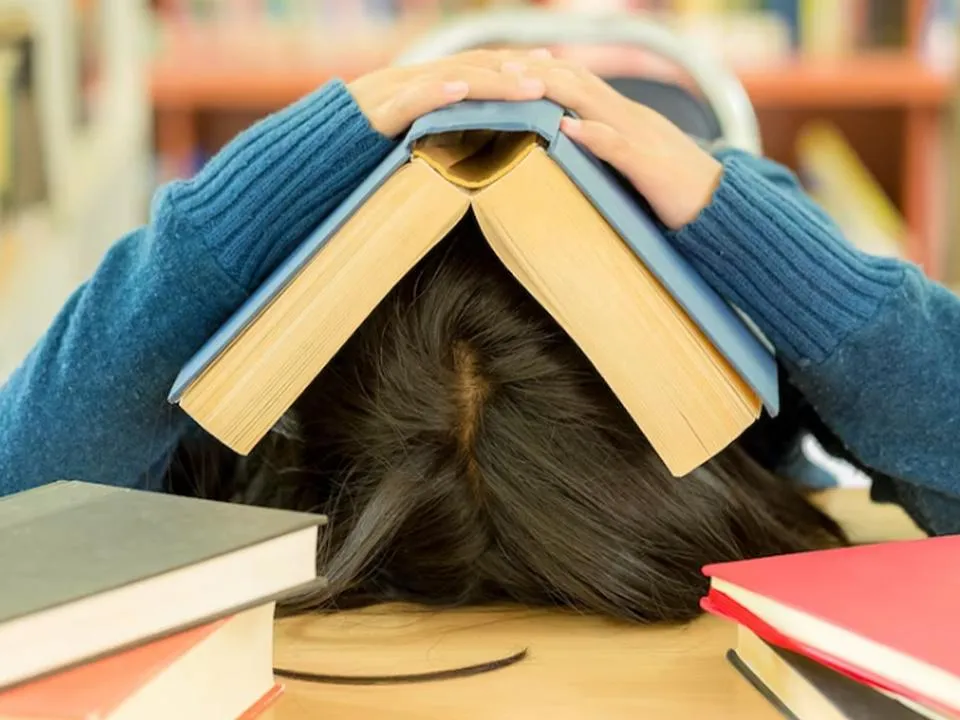 Учебу «на паузу»: выпускница МГУ назвала плюсы и минусы академа