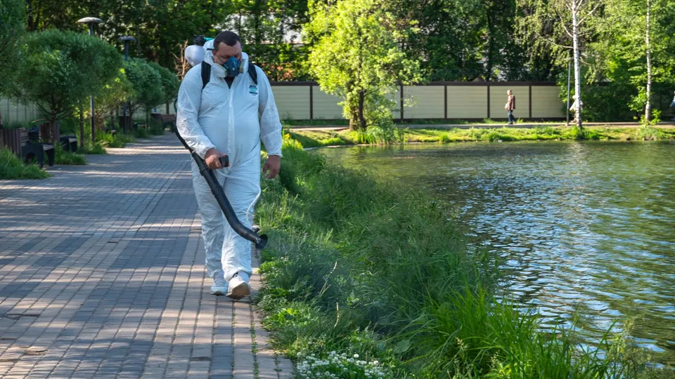 Фото: администрация г.о. Реутов