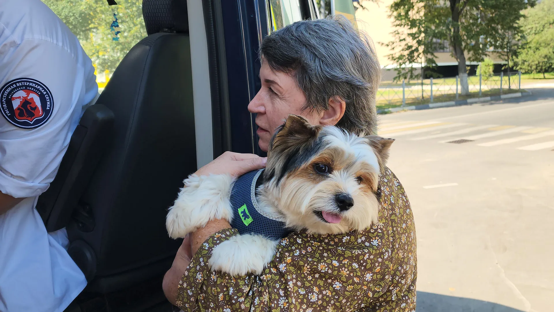 Фото: МедиаБанк Подмосковья/Андрей Семибратов