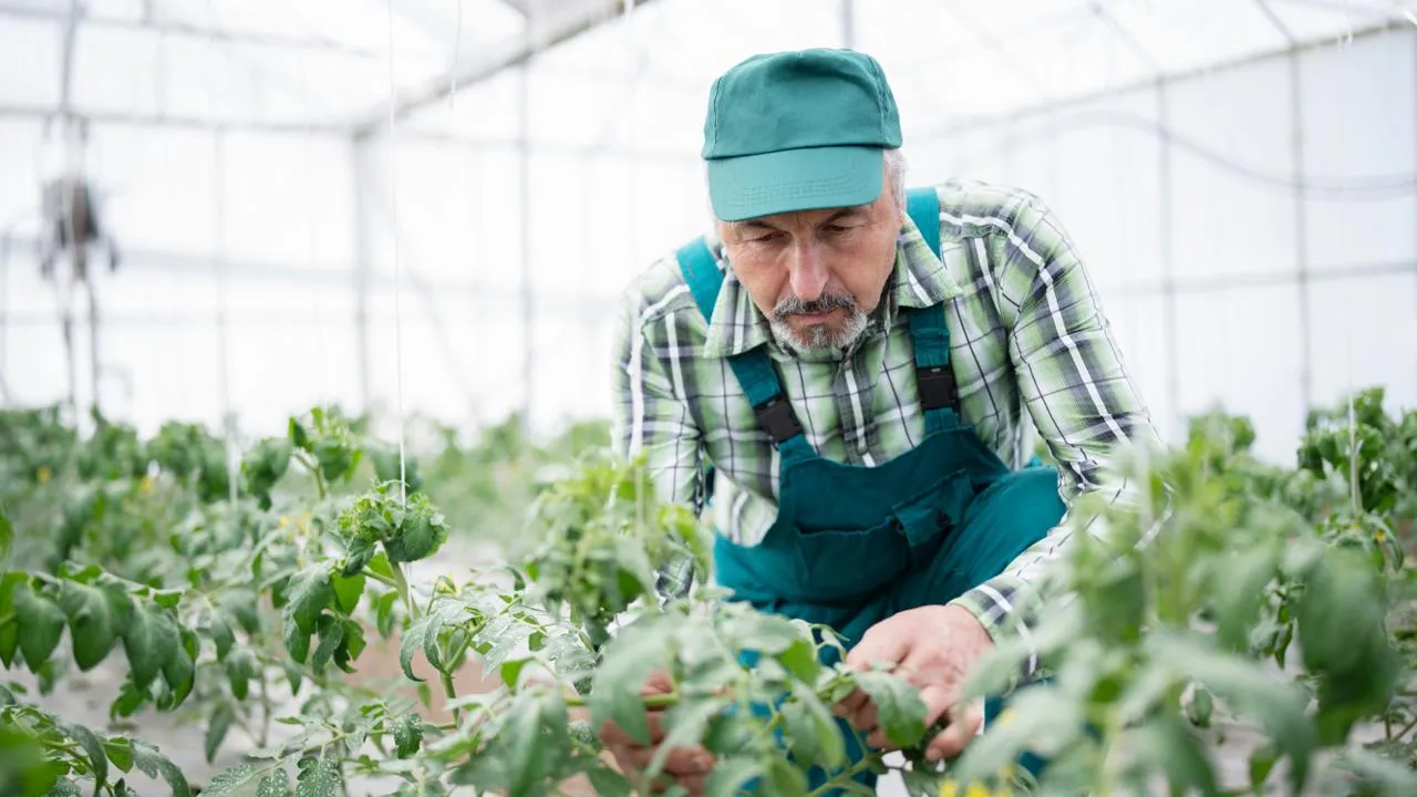 istockphoto.com/ArtistGNDphotography