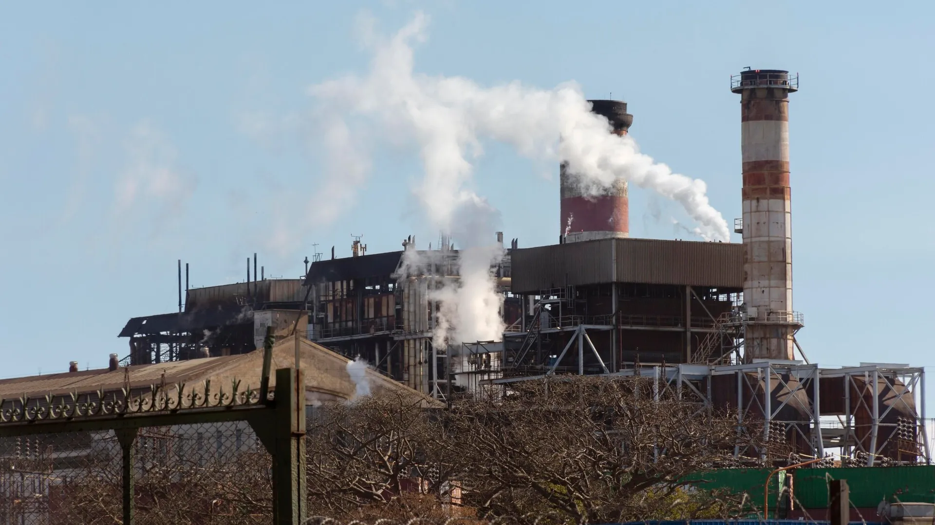 Фото: freepik.com