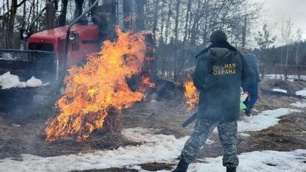 Комитет лесного хозяйства Московской области