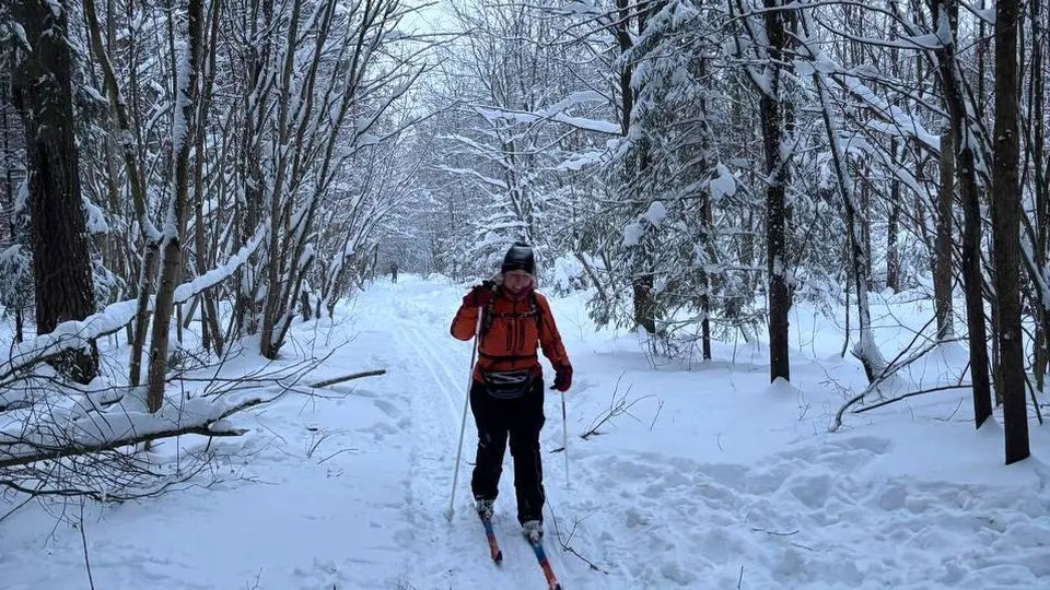 Фото: пресс-служба Комитета лесного хозяйства Московской области