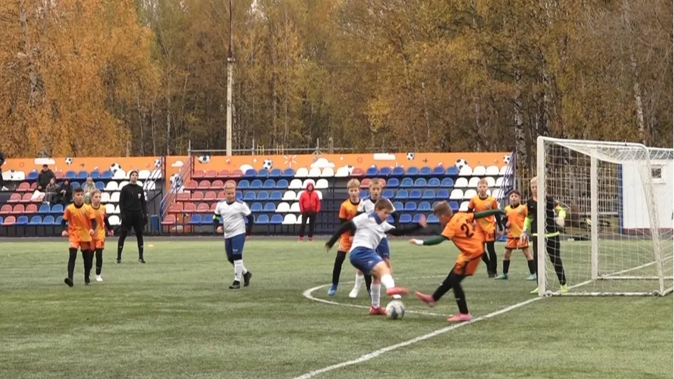 Фото: пресс-служба администрации г.о. Дубна