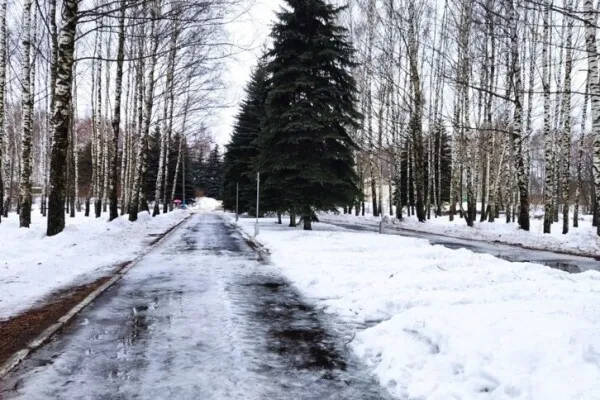 Фото: пресс-служба администрации г.о. Зарайск