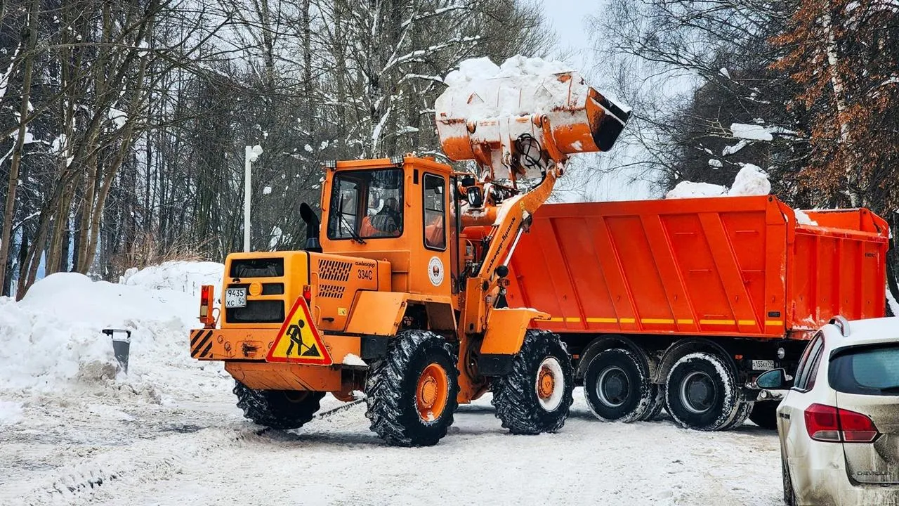 REGIONS/Мария Панина