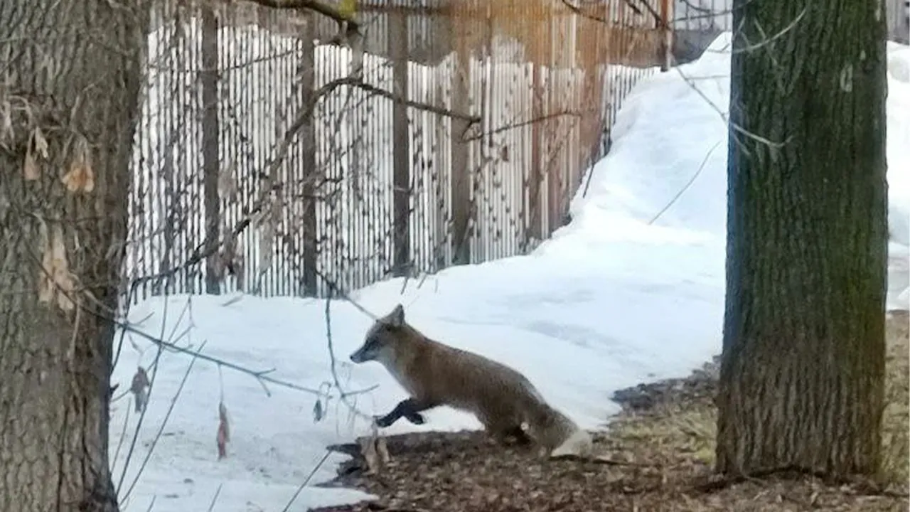 t.me/viktorpetruchenko_chat