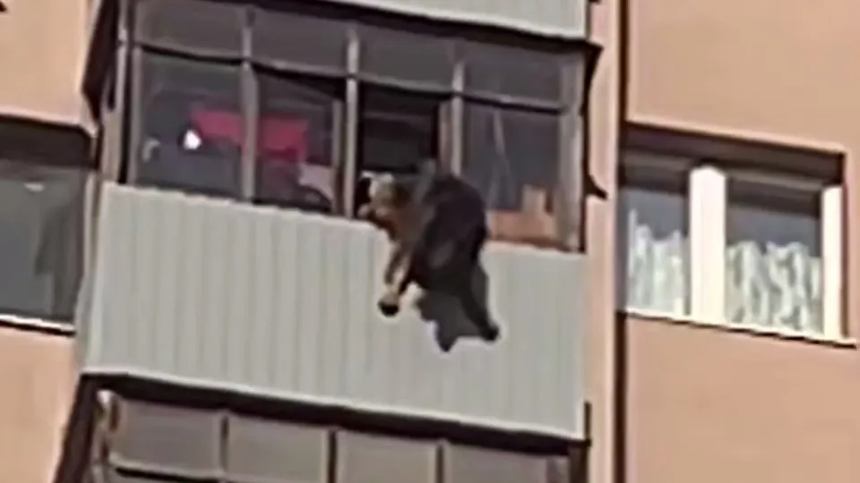 Фото: соцсети