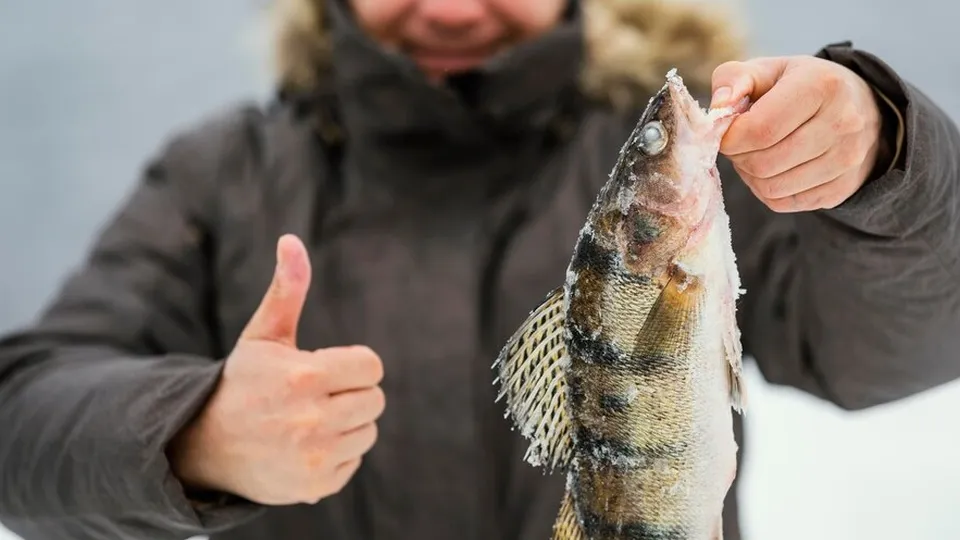 Фото: freepik.com