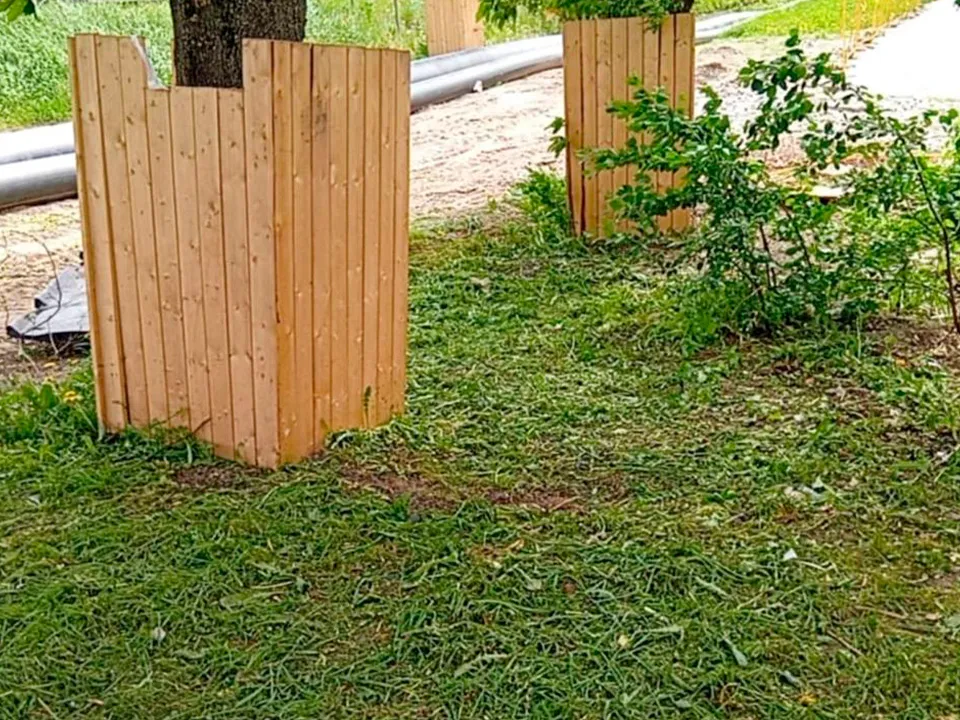 Фото: пресс-служба администрации г.о. Солнечногорск