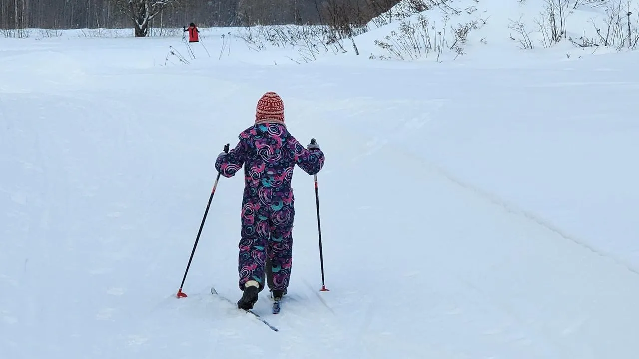 REGIONS/Дмитрий Алексеенко