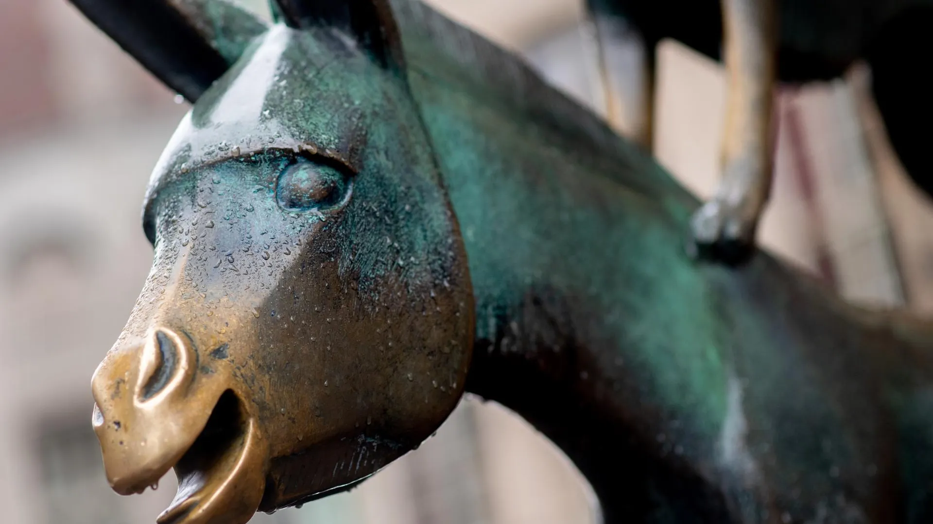 Pietro Recchia/Keystone Press Agency/Global Look Press