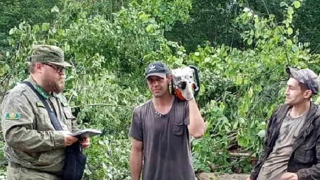 Фото: ГАУ МО «Мособллес»