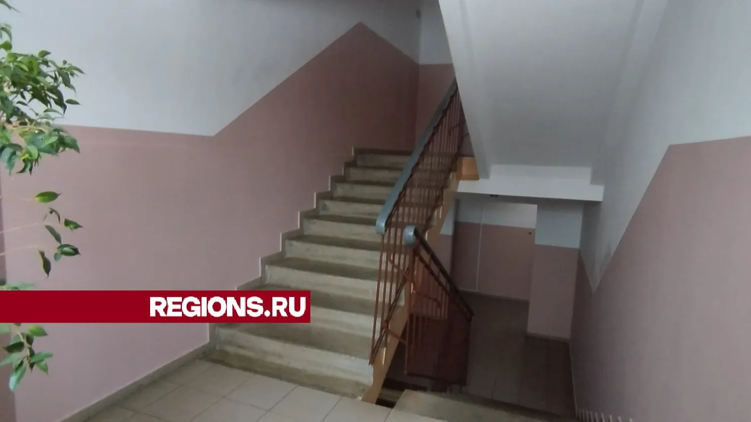 Фото: Ольга Антонова