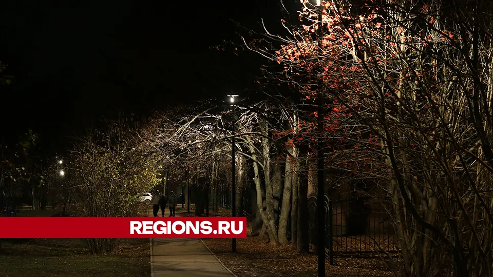 Фото: REGIONS/Евгений Мазепов