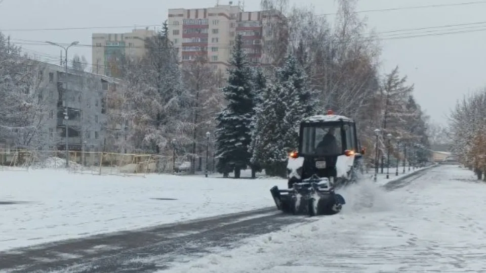 Фото: МедиаБанк Подмосковья/Валерия Тингаева