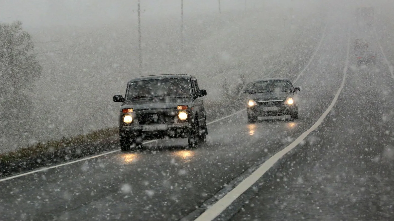 Фото: медиасток.рф