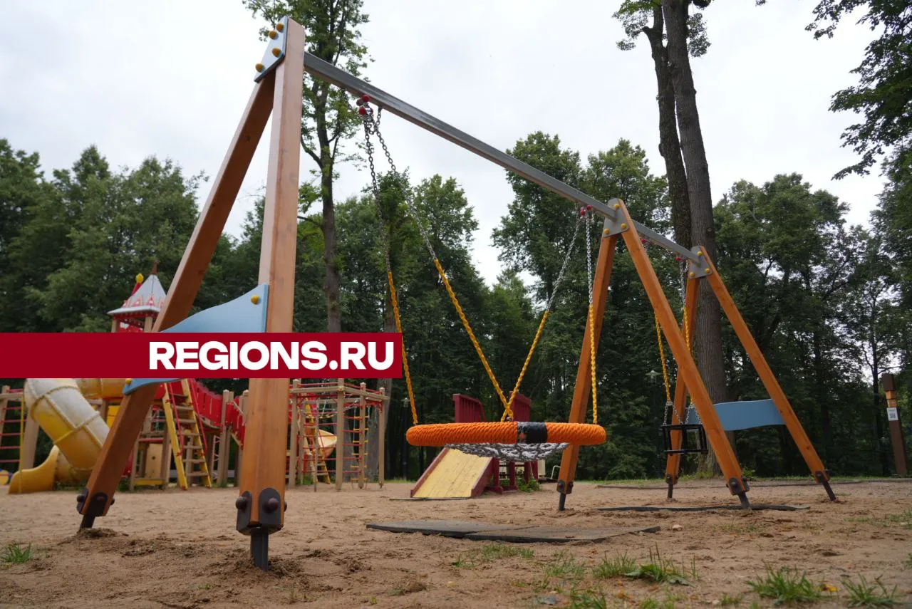 Фото: REGIONS/Дмитрий Зайчиков