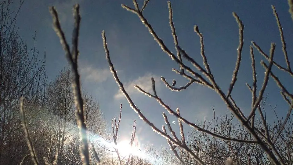 Фото: Валерия Тингаева