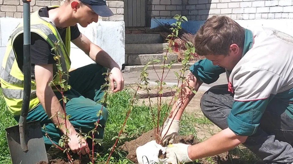 Фото: пресс-служба администрации г.о. Электросталь