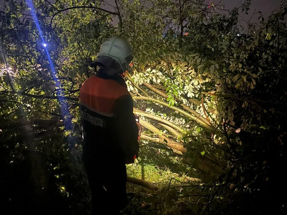 Фото: ГКУ МО «Мособлпожспас»