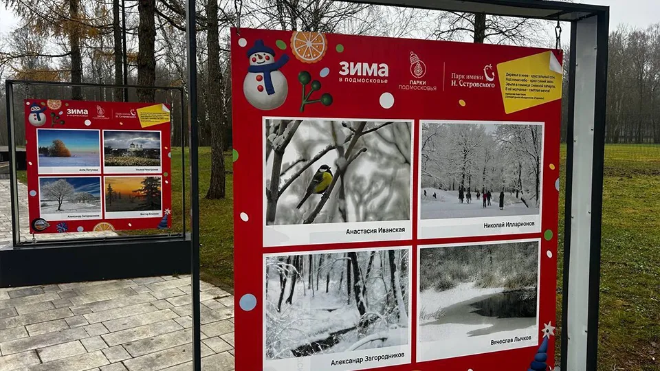 Фото: парки Ступина